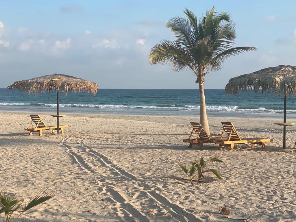 Segal Salalah-forest Island-hawana अपार्टमेंट *