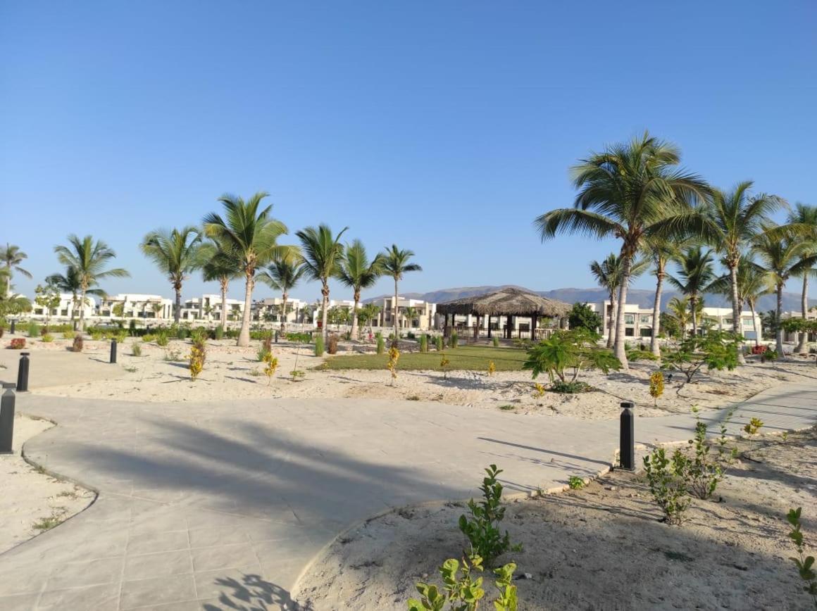 Segal Salalah-forest Island-hawana Salalah