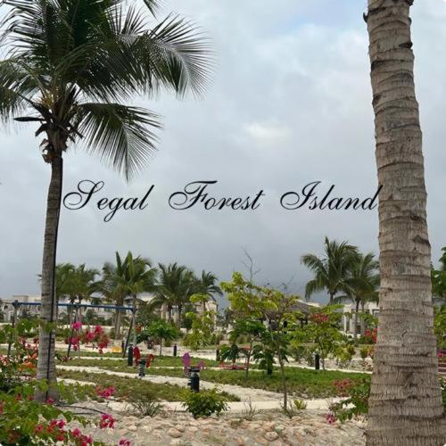 Segal Salalah-forest Island-hawana