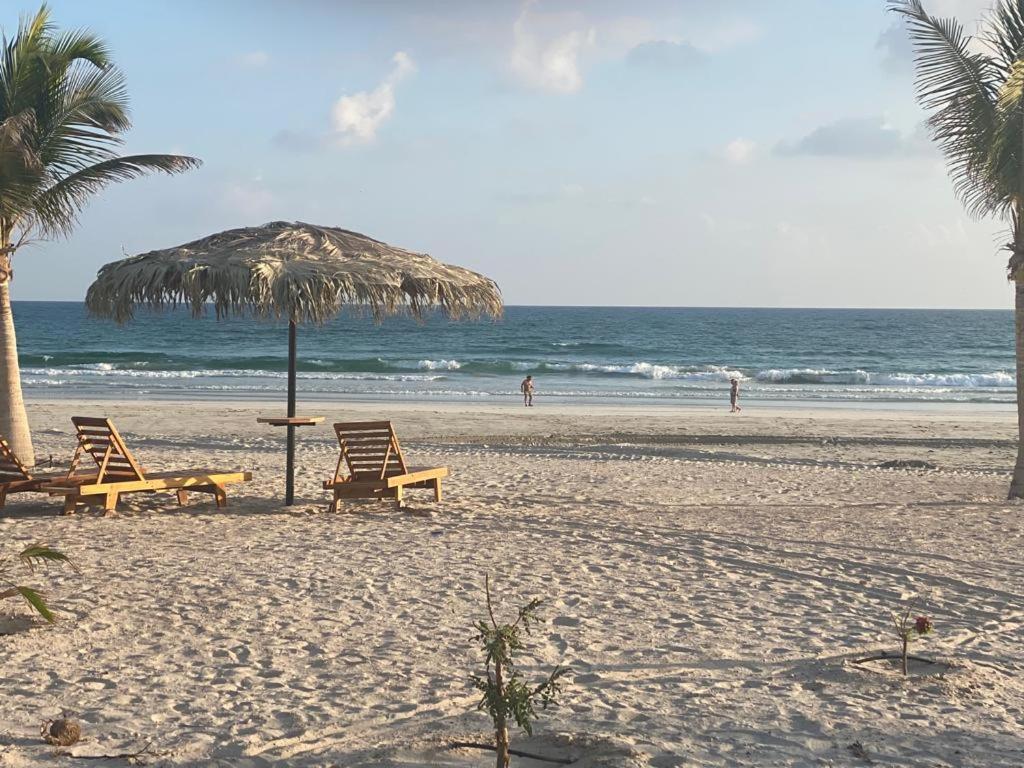 Segal Salalah-forest Island-hawana